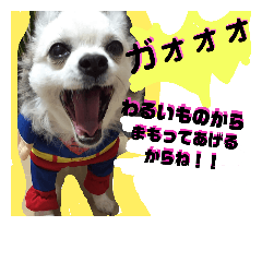[LINEスタンプ] コンタさんの日常04