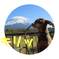 [LINEスタンプ] 鉄♡陽