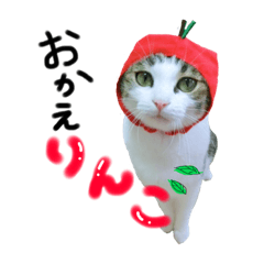 [LINEスタンプ] しーちゃん猫