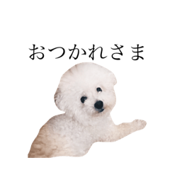 [LINEスタンプ] ぼくふぁーふぁ