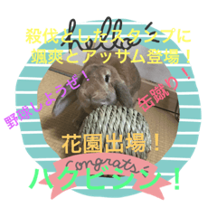[LINEスタンプ] 日常会話アッサム