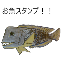[LINEスタンプ] お魚！