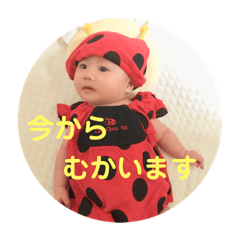 [LINEスタンプ] あづきスタイル