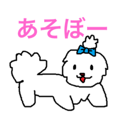 [LINEスタンプ] 日々マルチーズ