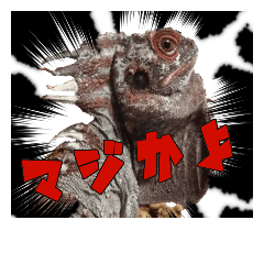 [LINEスタンプ] ドラさん 日常編2
