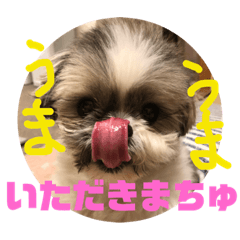 [LINEスタンプ] ぱふたんのおしゃべり