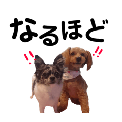 [LINEスタンプ] むぎさら