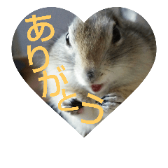 [LINEスタンプ] 毛皮の妖精たち