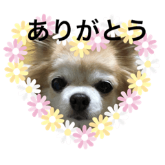 [LINEスタンプ] 備後