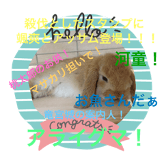[LINEスタンプ] 天使アッサム