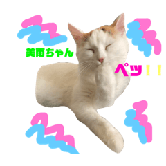 [LINEスタンプ] 美雨の日常