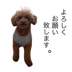 [LINEスタンプ] ころんとパンくんのおしゃべり①