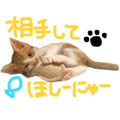 [LINEスタンプ] 吾輩は拳王である。