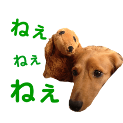 [LINEスタンプ] 使いやすいビーツのスタンプ