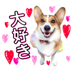 [LINEスタンプ] コーギーのレオンくん