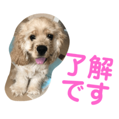 [LINEスタンプ] おうじ