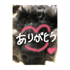 [LINEスタンプ] ムックく
