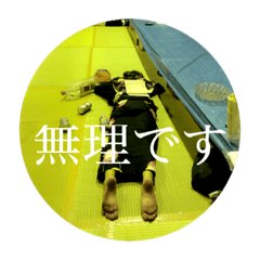 [LINEスタンプ] あいママ