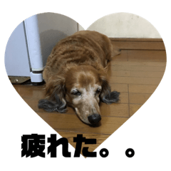 [LINEスタンプ] 可愛い家族達、いつまでも心に。