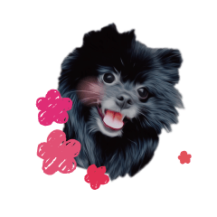 [LINEスタンプ] ブラックポメラニアン！