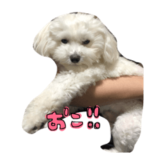 [LINEスタンプ] マルクくん