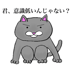 [LINEスタンプ] 意識高い系の猫