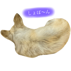 [LINEスタンプ] Loveの日常②
