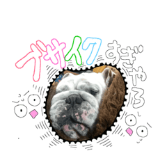 [LINEスタンプ] 僕 かぶくんやで！