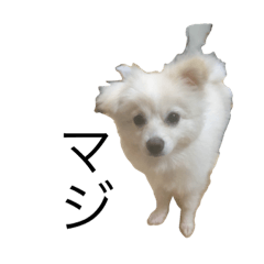 [LINEスタンプ] 激愛アンナ
