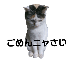 [LINEスタンプ] リンとモモ