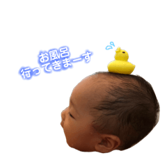 [LINEスタンプ] ひよちゃんと一緒