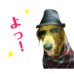 [LINEスタンプ] サン 来夢