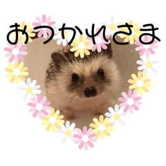 [LINEスタンプ] 我が家ニックん