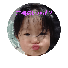 [LINEスタンプ] ことこ