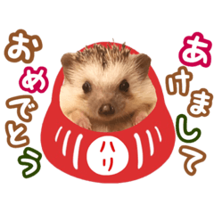 [LINEスタンプ] ハリネズミのおしゃべり2