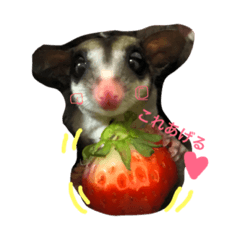 [LINEスタンプ] ぎるみとら