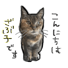 [LINEスタンプ] ざぶ子のスタンプ2