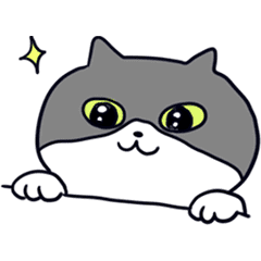 [LINEスタンプ] ハチワレのにゃんぱち