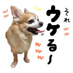 [LINEスタンプ] オッス！おら ジロー！ と、仲間たち。④