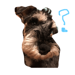 [LINEスタンプ] ロッティとエルフィ 2