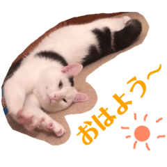 [LINEスタンプ] ちょっとした あいさつ