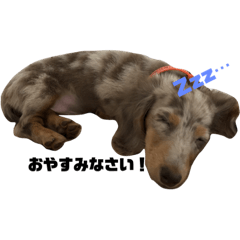 [LINEスタンプ] れおんたん