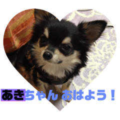 [LINEスタンプ] あきちゃんに送るスタンプ！！