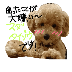 [LINEスタンプ] たいぞうスタンプ いち