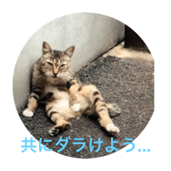 [LINEスタンプ] ダラけ猫