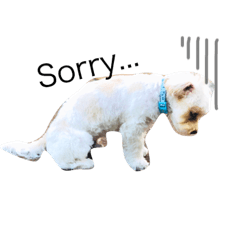 [LINEスタンプ] マルキャバ