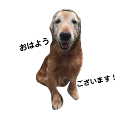 [LINEスタンプ] ほっかむりジョンさん