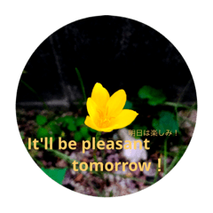 [LINEスタンプ] 花の伝言