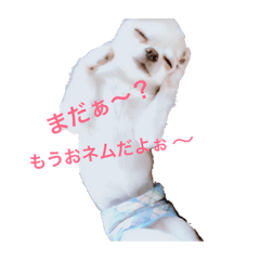 [LINEスタンプ] うにまる①