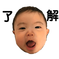 [LINEスタンプ] 葵葉スタンプ